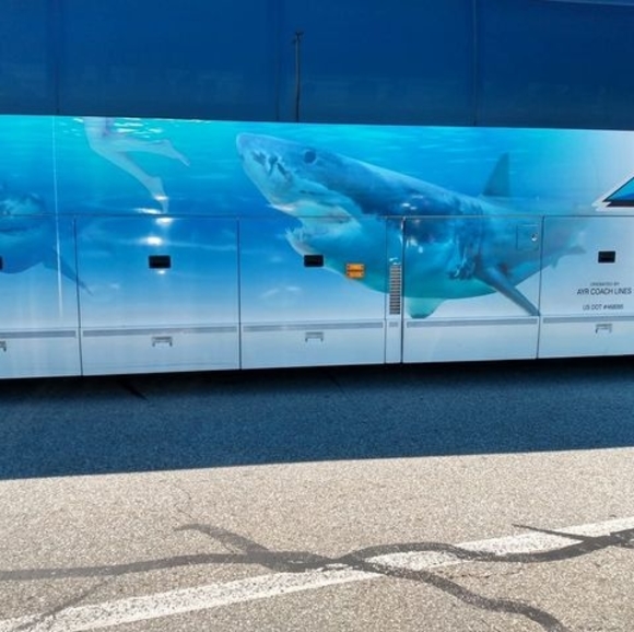 Profile Picture of Amy Presogna-ranowiecki (@alprano) on Poshmark