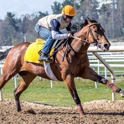 Profile Picture of Jose Lopera (@LoperaRacing) on Twitter