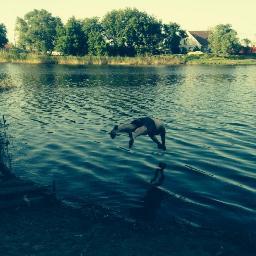 Profile Picture of Alexandr Podgornyy (@Alexgori4) on Twitter