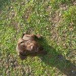 Profile Picture of Joseph (@joseph_hill_2018) on Instagram