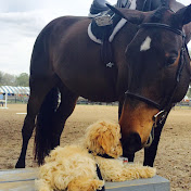 Profile Picture of M. Fowler Equestrian (@m.fowlerequestrian5534) on Youtube