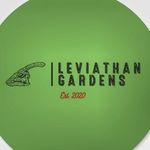 Josh Baird - Instagram Profile Picture of Josh Baird (@leviathangardens) on Instagram