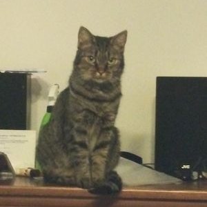 Profile Picture of Jessica Clause (@clause_jessica) on Twitter