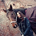 Profile Picture of 🐎Carlos & Kim💕 (@kims_horseblog_) on Instagram