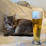 Profile Picture of Chris Lucas (@beerswithbullet) on Instagram