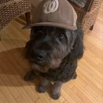 Profile Picture of Jason Campbell (@jasoncampbell._) on Instagram