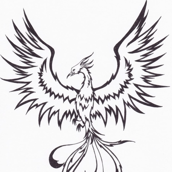 Profile Picture of Brandon Blanco (@bblanco20) on Poshmark