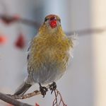 Profile Picture of WINBORNE MATHEW (@02vdwinbor) on Instagram