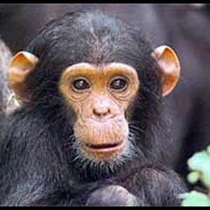 Luis Torres Rosa - Myspace Profile Picture of Luis Torres Rosa (@400467579) on Myspace