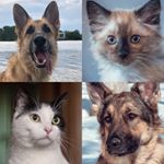 Profile Picture of Autumn Baxter Clementine Zara (@a.b.c.and.z) on Instagram