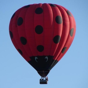 Profile Picture of David Grinberg (@210639385) on Myspace