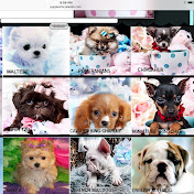 Profile Picture of Ann Walsh (@annwalsh7939) on Youtube