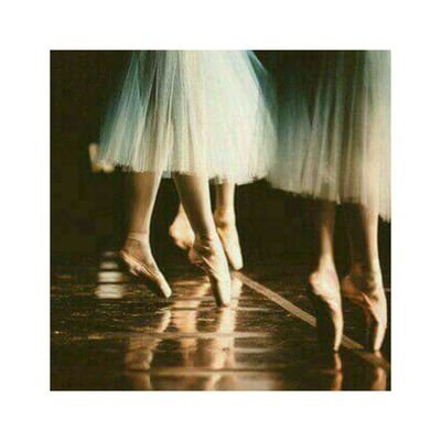 Profile Picture of Alaa Shennib (@AlaaShennib) on Twitter