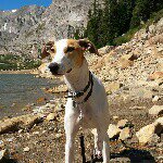 Profile Picture of Steve Woods (@sdwoods63) on Instagram