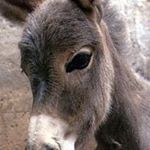 Profile Picture of Amanda Calvey (@amandacalvey) on Instagram