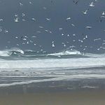 Profile Picture of Brian Holsey (@hempflingcrvrun) on Instagram