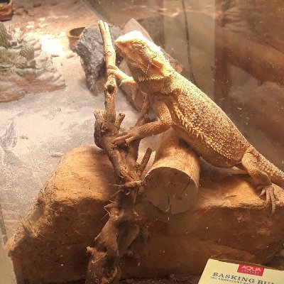 Profile Picture of Keith Moffett (@KeithMoffett6) on Twitter