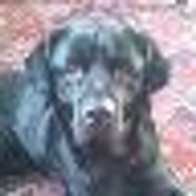Profile Picture of Jim Enright (@murphysdad1) on Twitter