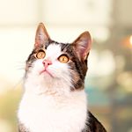 Profile Picture of Christopher Burch (@christopherburch17) on Instagram