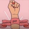 Profile Picture of Allison Bonilla (@justicia.para.allison) on Tiktok