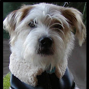 Profile Picture of Scott Kuhn (@elixermixer) on Youtube