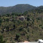 Profile Picture of Jerome Lienart (@jerome_lienart) on Instagram