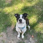 Profile Picture of Andrew Roberts (@Andrew-Roberts) on Facebook