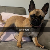 Profile Picture of Keith Oconnor (@keithoconnor6655) on Youtube