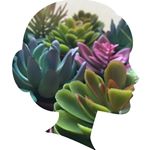 Profile Picture of Julia Pollak Photography (@botaniqual) on Instagram