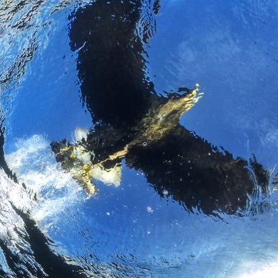 Profile Picture of Ted Harper (@_ted_harper) on Twitter