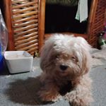 Profile Picture of Reggie Garcia (@reggie.garcia.7127) on Instagram