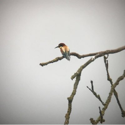 Profile Picture of Matt Bruce (@MatthewJBruce) on Twitter