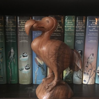 Profile Picture of Paul Heaton (@Heaton9paul) on Twitter