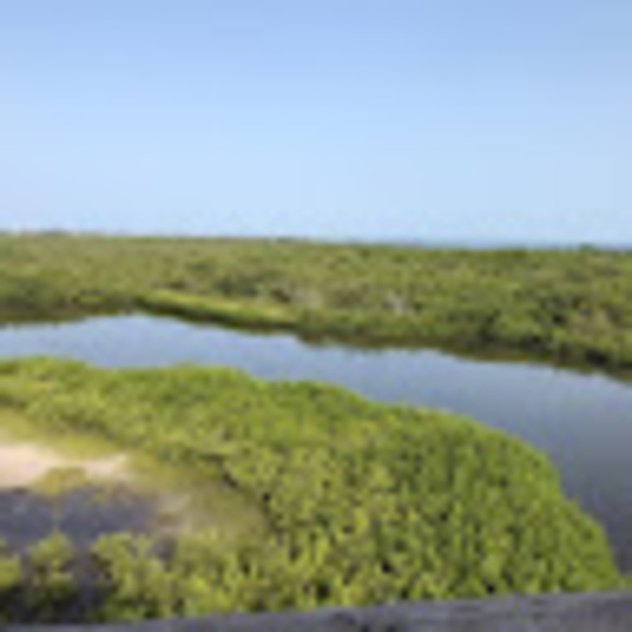 Profile Picture of Joe Bulko (@joebulko1738) on Poshmark