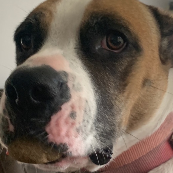 Dan Martinetti - Poshmark Profile Picture of Dan Martinetti (@danmartinetti) on Poshmark