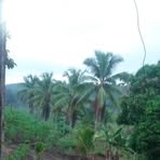 Profile Picture of Mario Puga (@mario.puga.674755) on Facebook