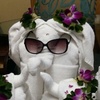 Profile Picture of Constance Matthews (@@constancematthews) on Tiktok