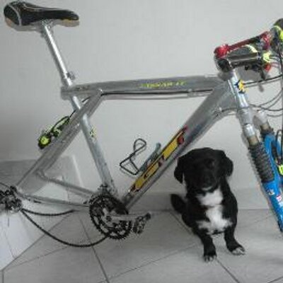 Profile Picture of Dakis (@DakisJohn) on Twitter