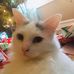 Profile Picture of Lynda Sinclair (@lynda.sinclair.311) on Facebook