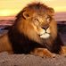 Profile Picture of Jose Buergo (@jose.buergo.9) on Facebook