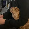 Profile Picture of maria <3 (@maria.clayton) on Tiktok