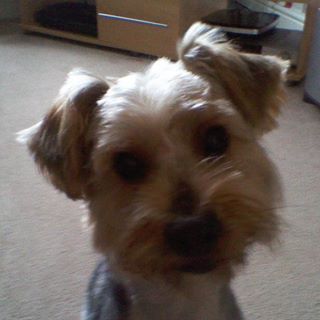 Profile Picture of Casper Roberts (@casper.roberts.3) on Facebook