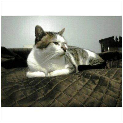 Profile Picture of Jerry Huffmanon Twitter