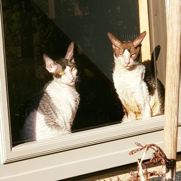 Profile Picture of Jodie Zurn (@unique000001) on Poshmark