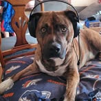 Profile Picture of Timothy Behrens (@timothy.behrens.549) on Facebook