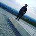 Profile Picture of Kevin Lehnert (Kev) (@kevin.lehnert.716) on Facebook