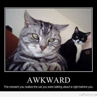 Profile Picture of Emily Ane Scattergoods (@emilyane.scattergoods) on Facebook