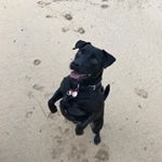 Profile Picture of Sarah Keith (@sarah_keith81) on Instagram