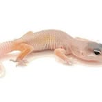 Profile Picture of Yong um (@yong.um.2024) on Facebook