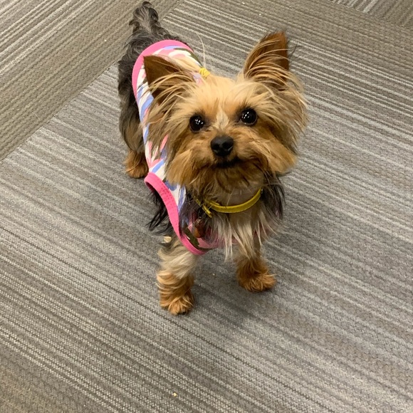 Profile Picture of Alli Biddick (@allibiddick) on Poshmark